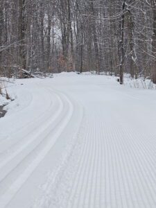 ski conditions Feb 22 2026